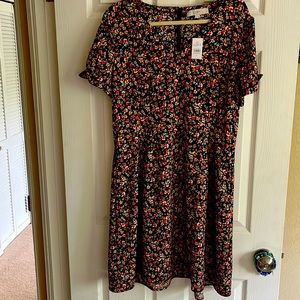 NWT Loft Floral Dress with POCKETS!